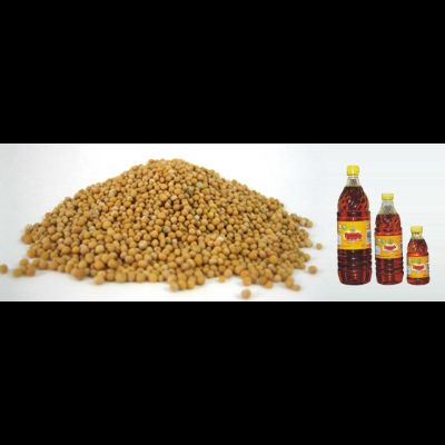 Sai Krishna Impacts Garlic